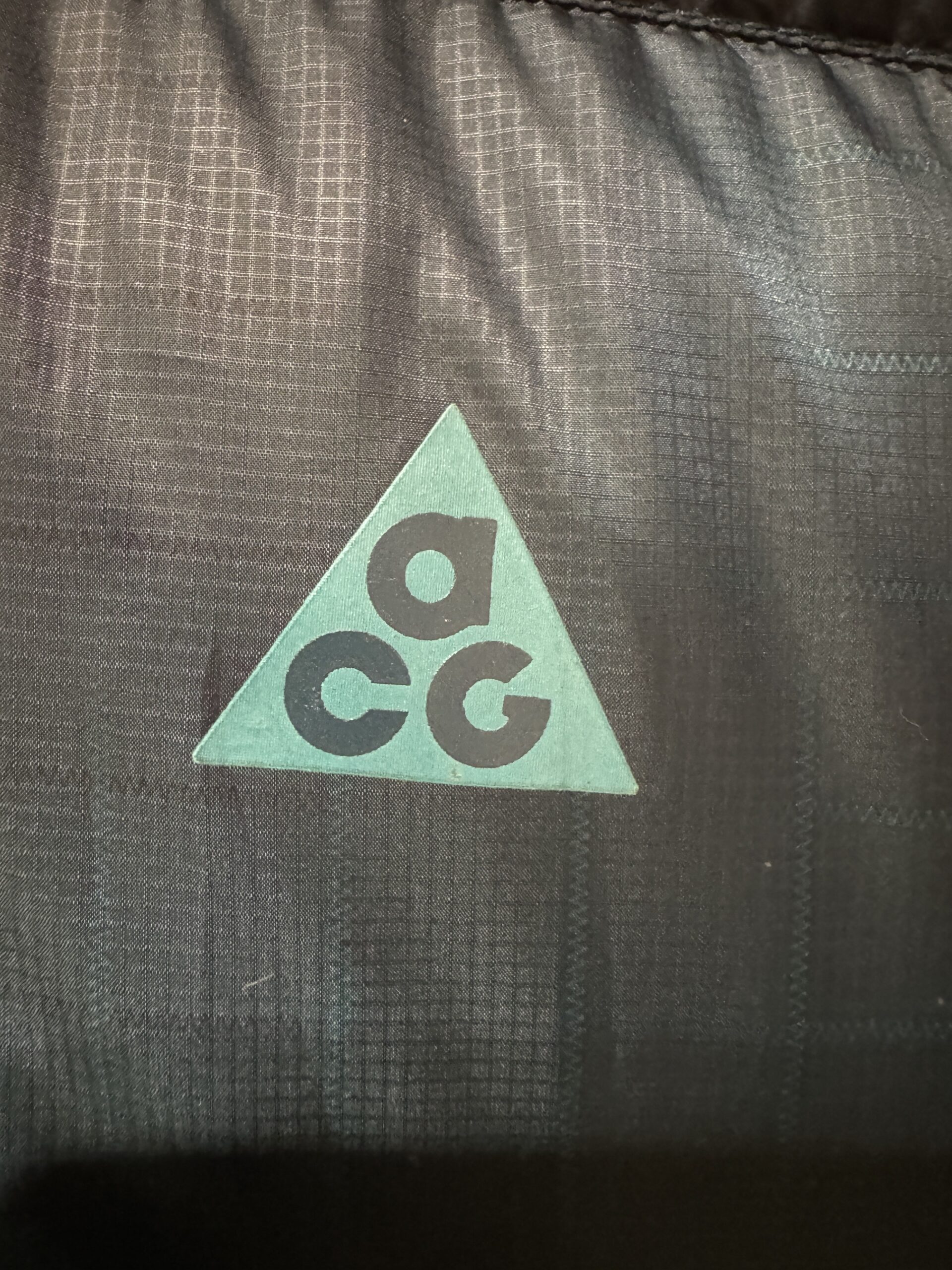 NIKE ACG 三角ロゴ（胸）アップ