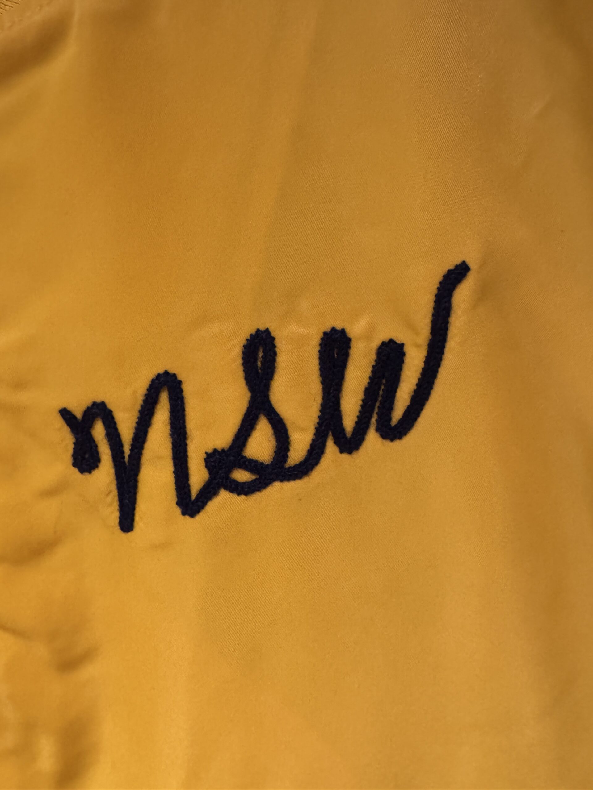 NIKE NSW 刺繍ロゴ（胸元）