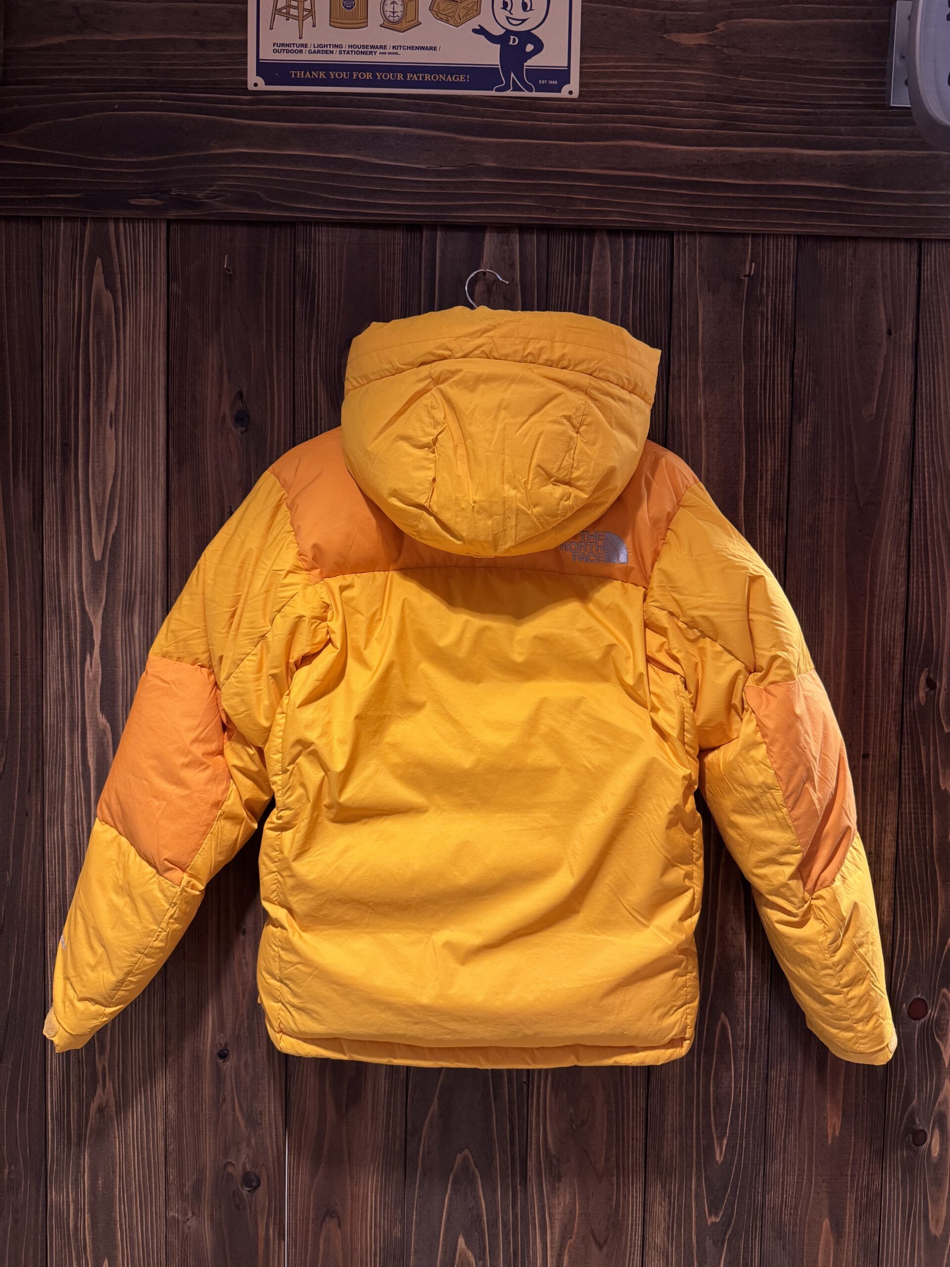 THE NORTH FACE HyVent ダウンジャケット 背面（イエロー／NFJ1DD71）