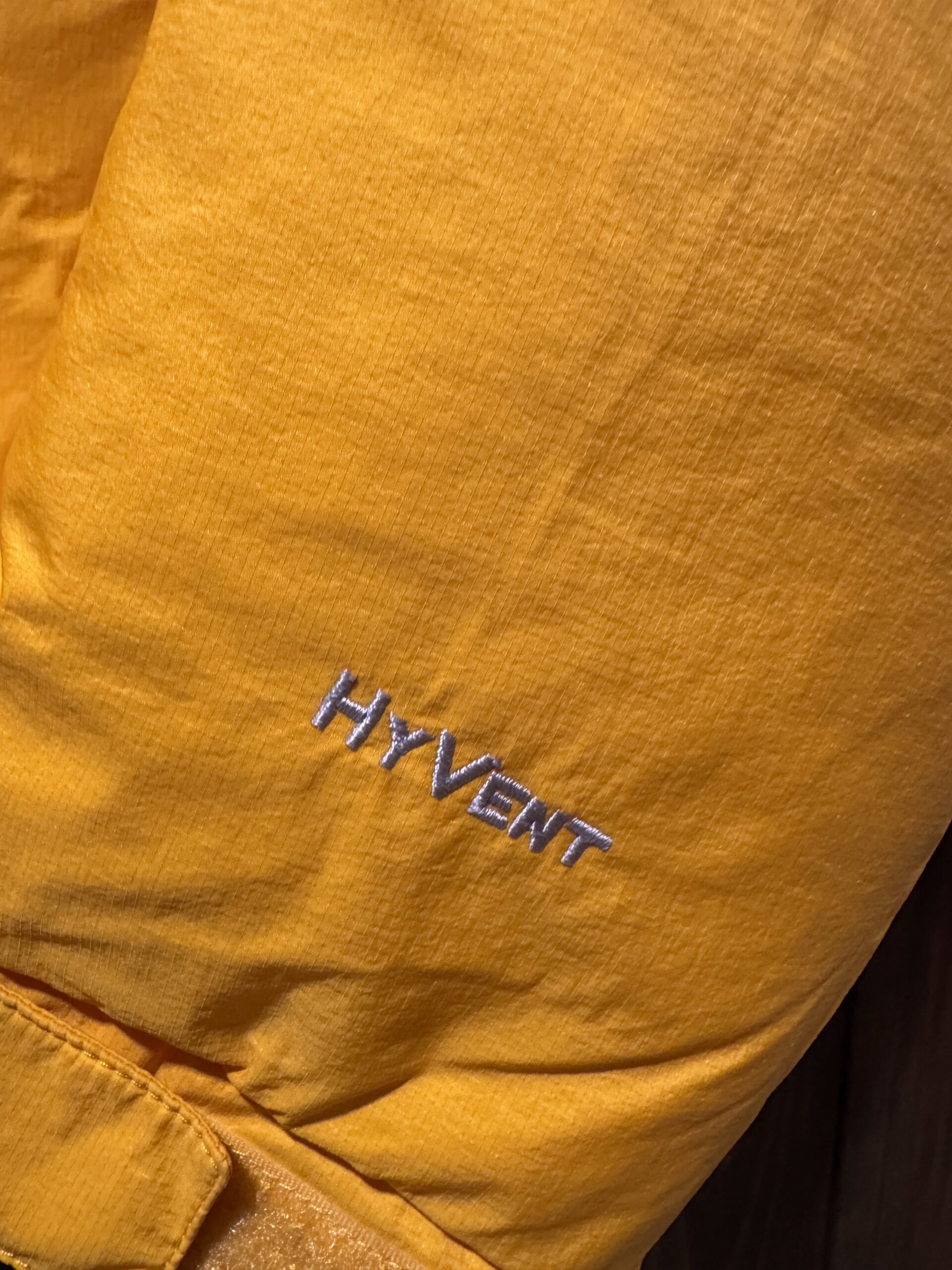 袖のHyVent刺繍（THE NORTH FACE ダウン／NFJ1DD71）