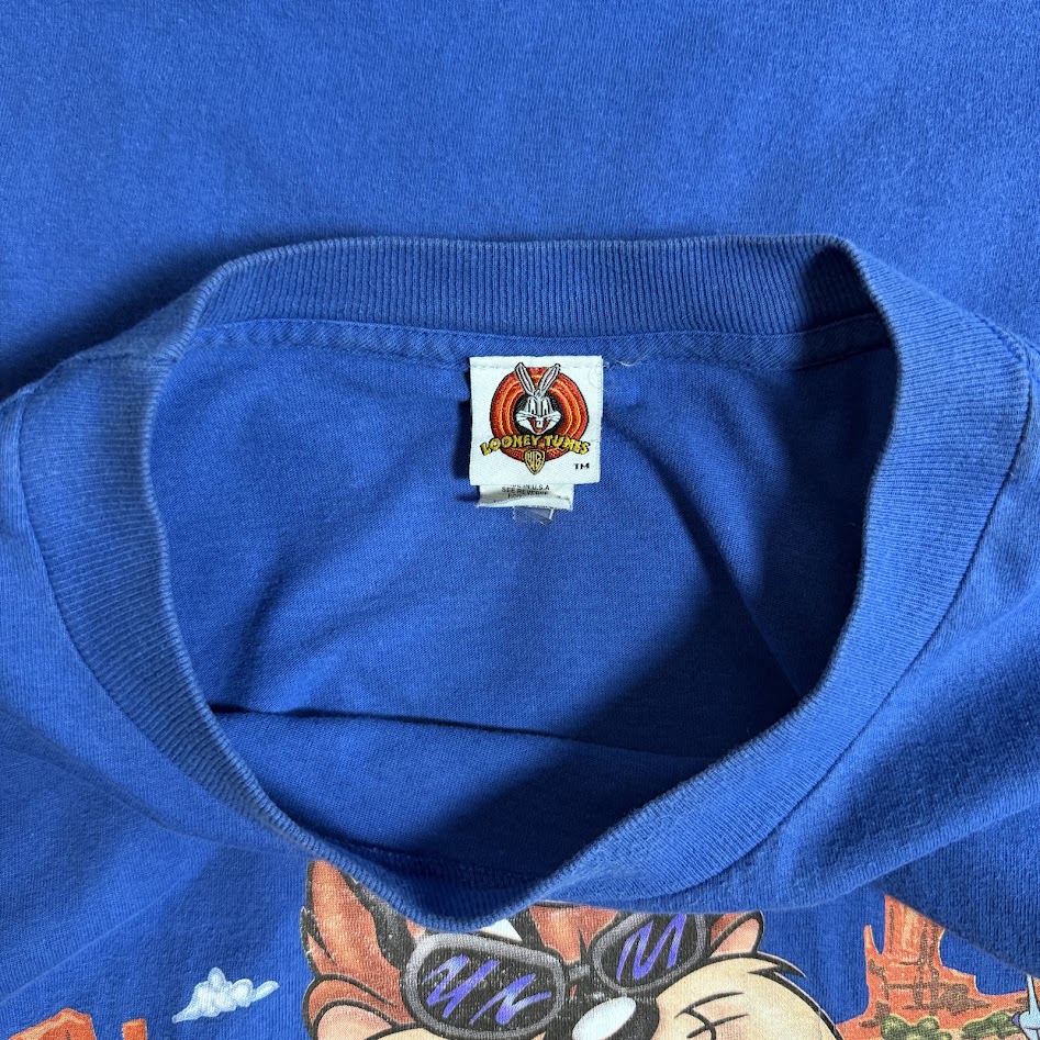 タズTシャツの首回りとリブの状態