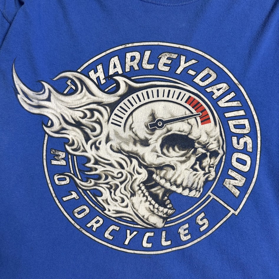 Harley-Davidson スカルプリントのクラックと経年変化